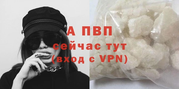 СК Липки