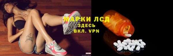 СК Липки