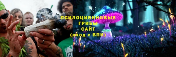 spice Лихославль