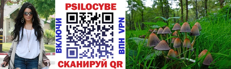 где купить наркоту  Партизанск  mega как войти  Псилоцибиновые грибы Cubensis 