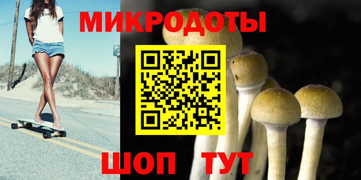 Партизанск  Псилоцибиновые грибы мицелий  Вход с VPN 