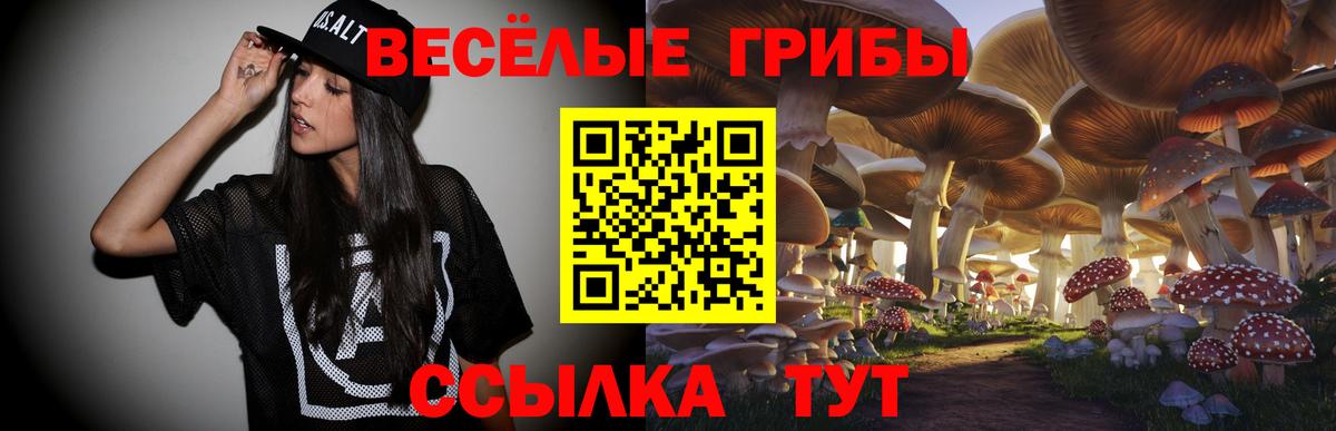 Галлюциногенные грибы ЛСД Партизанск
